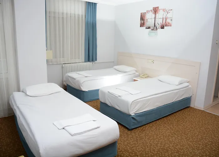 Hotel Oreko Ekspres Afyon *